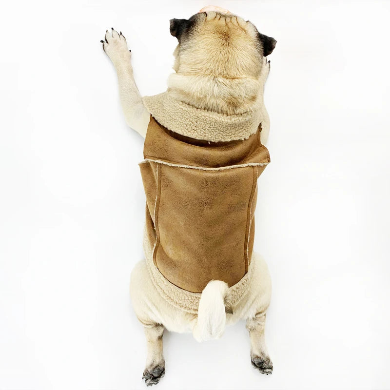 Dog Winter Coat 🐶❄️