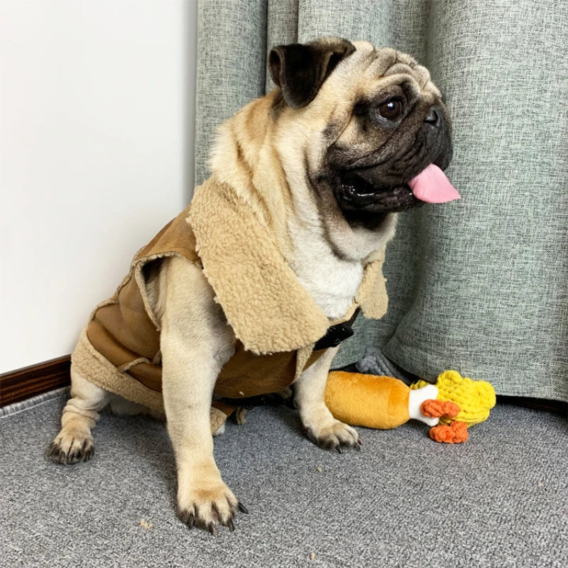 Dog Winter Coat 🐶❄️