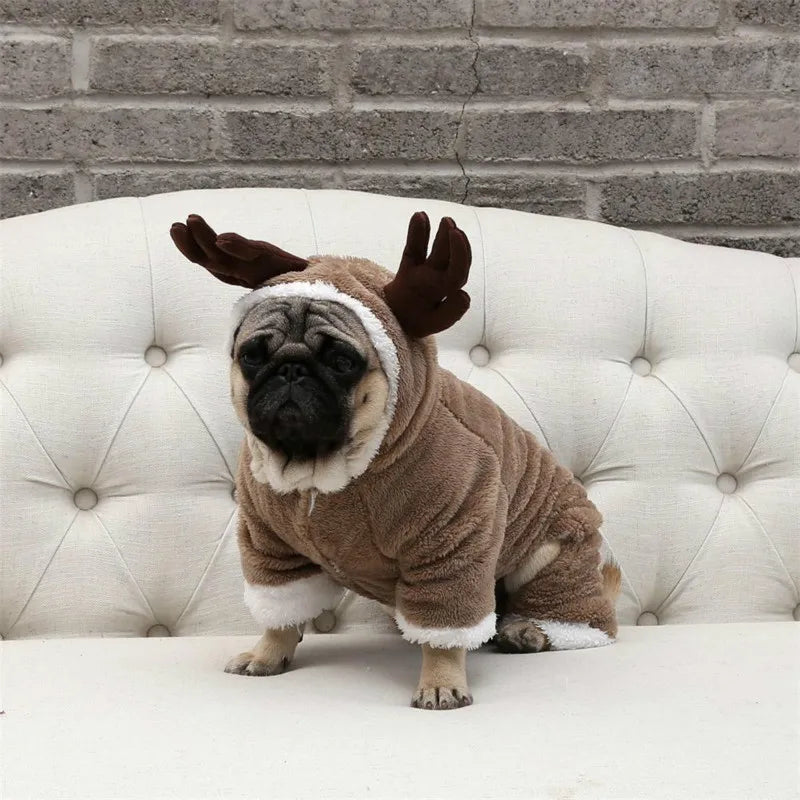 Pug the Elk costume 🦌