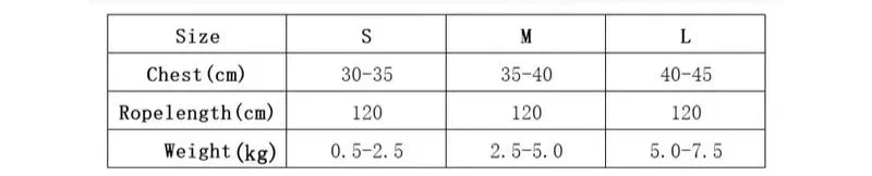 Floral Harness + Leash 🌸