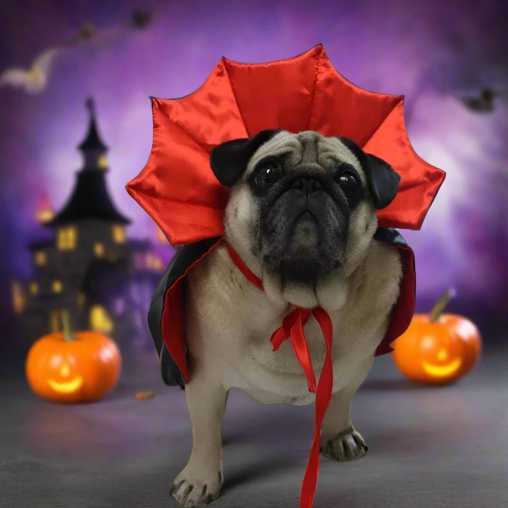 Count Drapugla Halloween Costume 🧛♂️