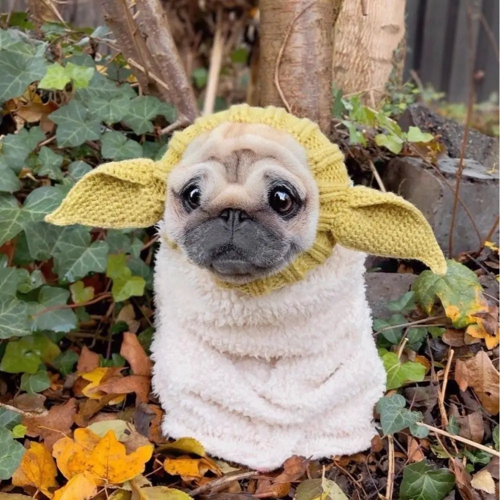 Yoda hat (only the hat it's included)
