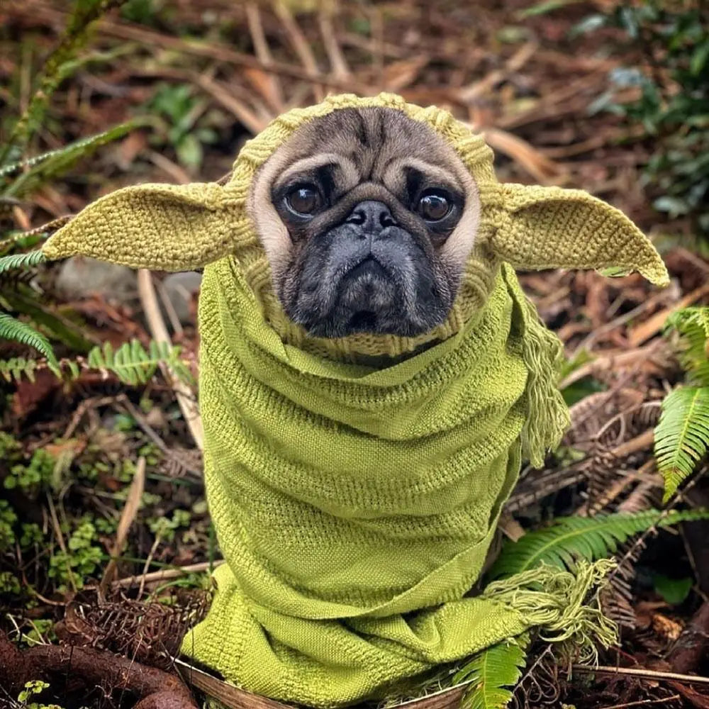 Yoda hat (only the hat it's included)