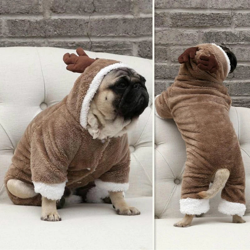 Pug the Elk costume 🦌