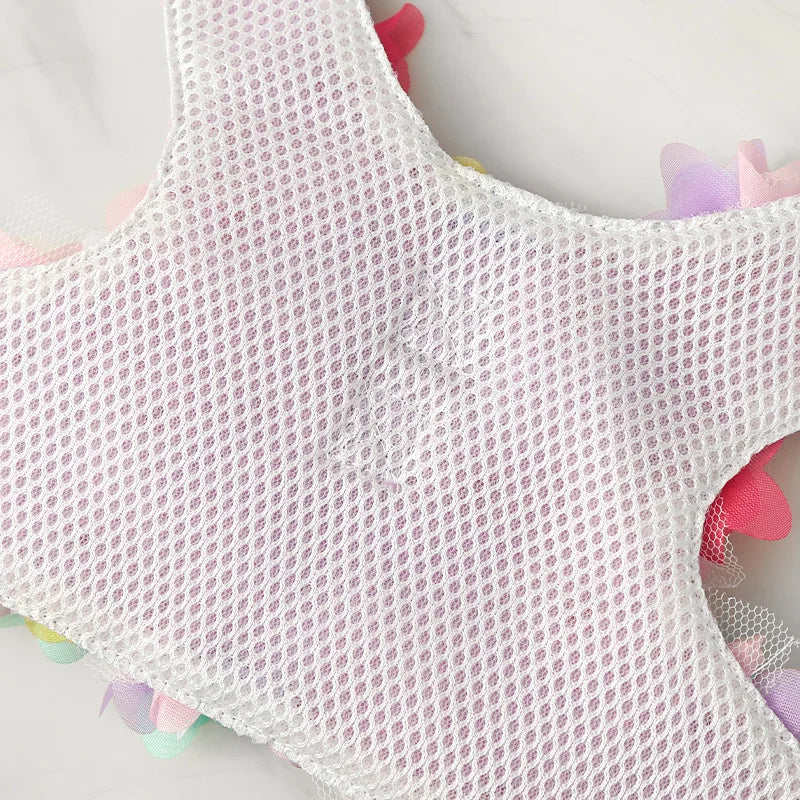 Rose Harness + Leash 🌹🌸