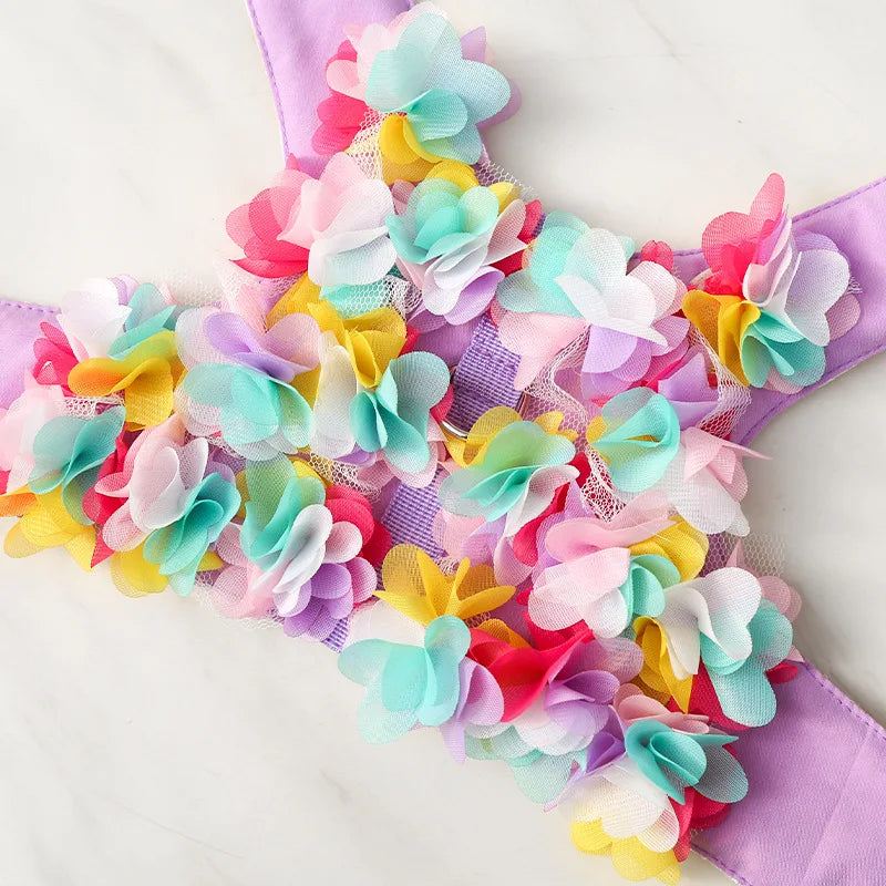 Floral Harness + Leash 🌸