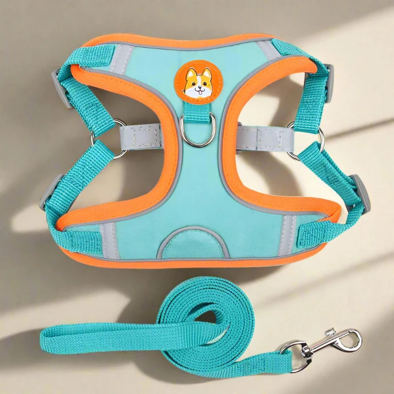 Dog Harness with Dog Logo 🐶 + Leash (available in 6 colours)