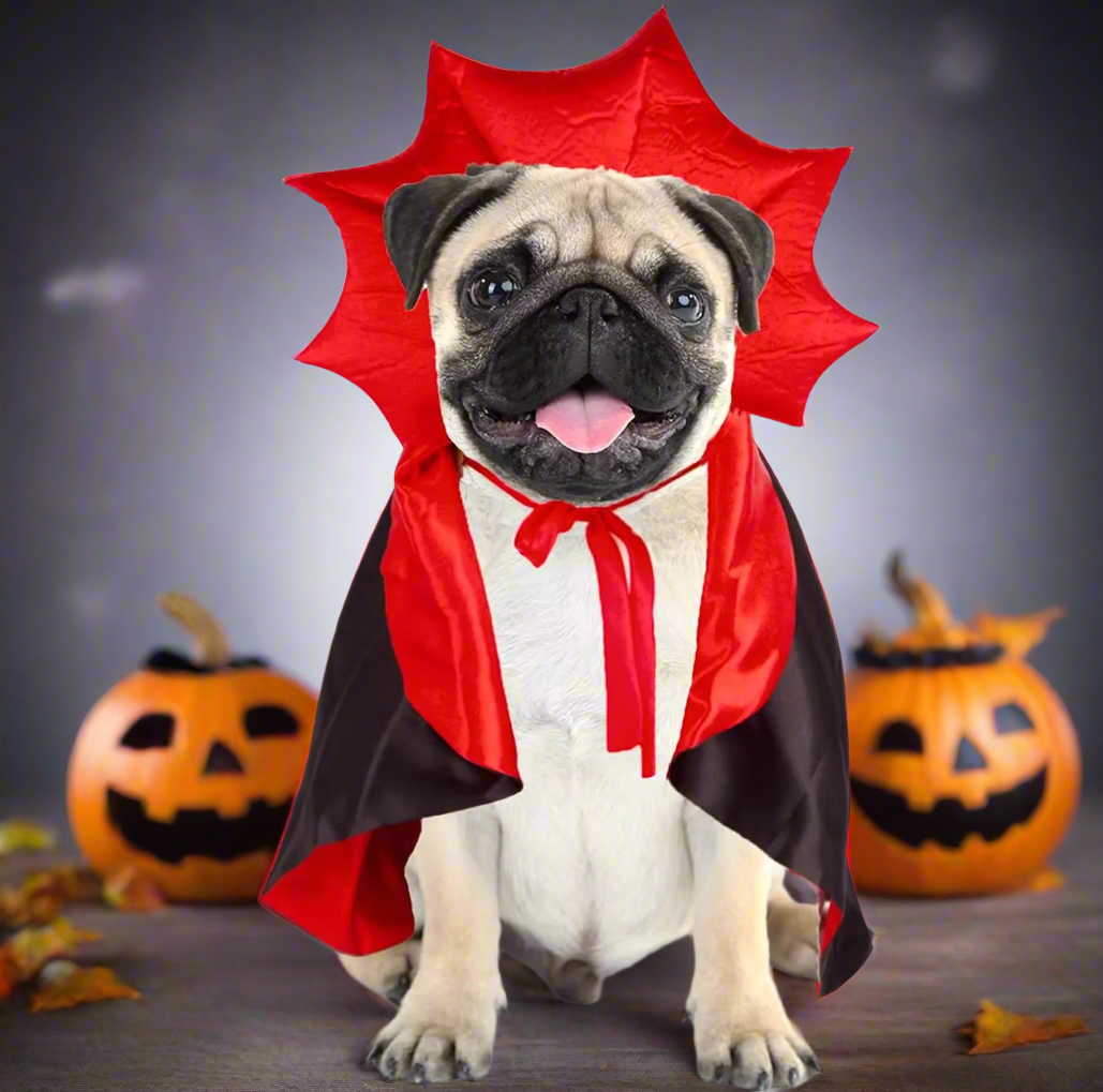 Count Drapugla Halloween Costume 🧛♂️