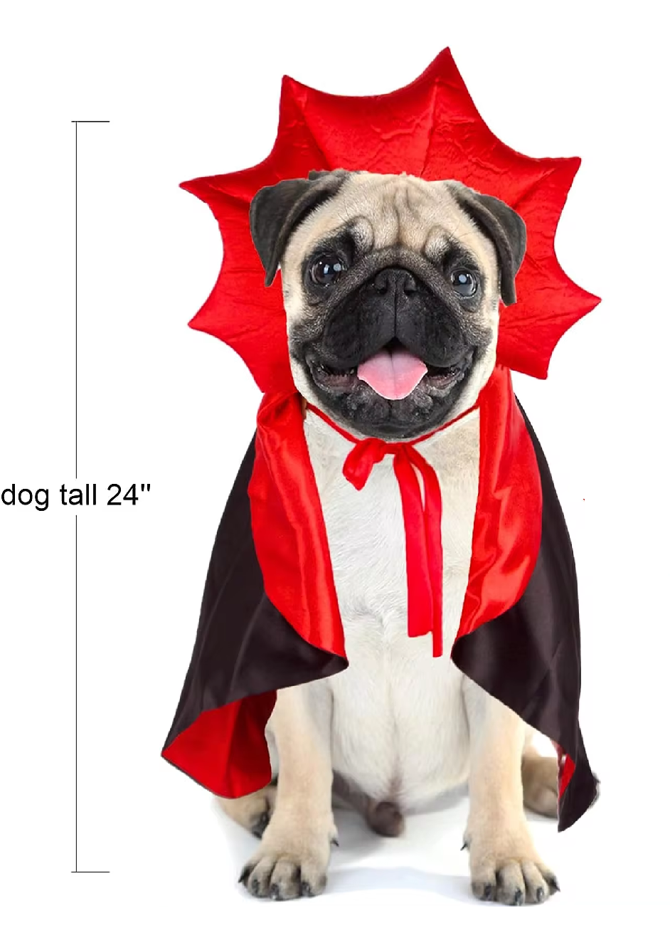 Count Drapugla Halloween Costume 🧛♂️