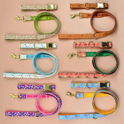 Luxury Fashion Leash & Collar (available in 6 variants)