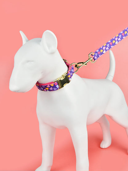 Luxury Fashion Leash & Collar (available in 6 variants)