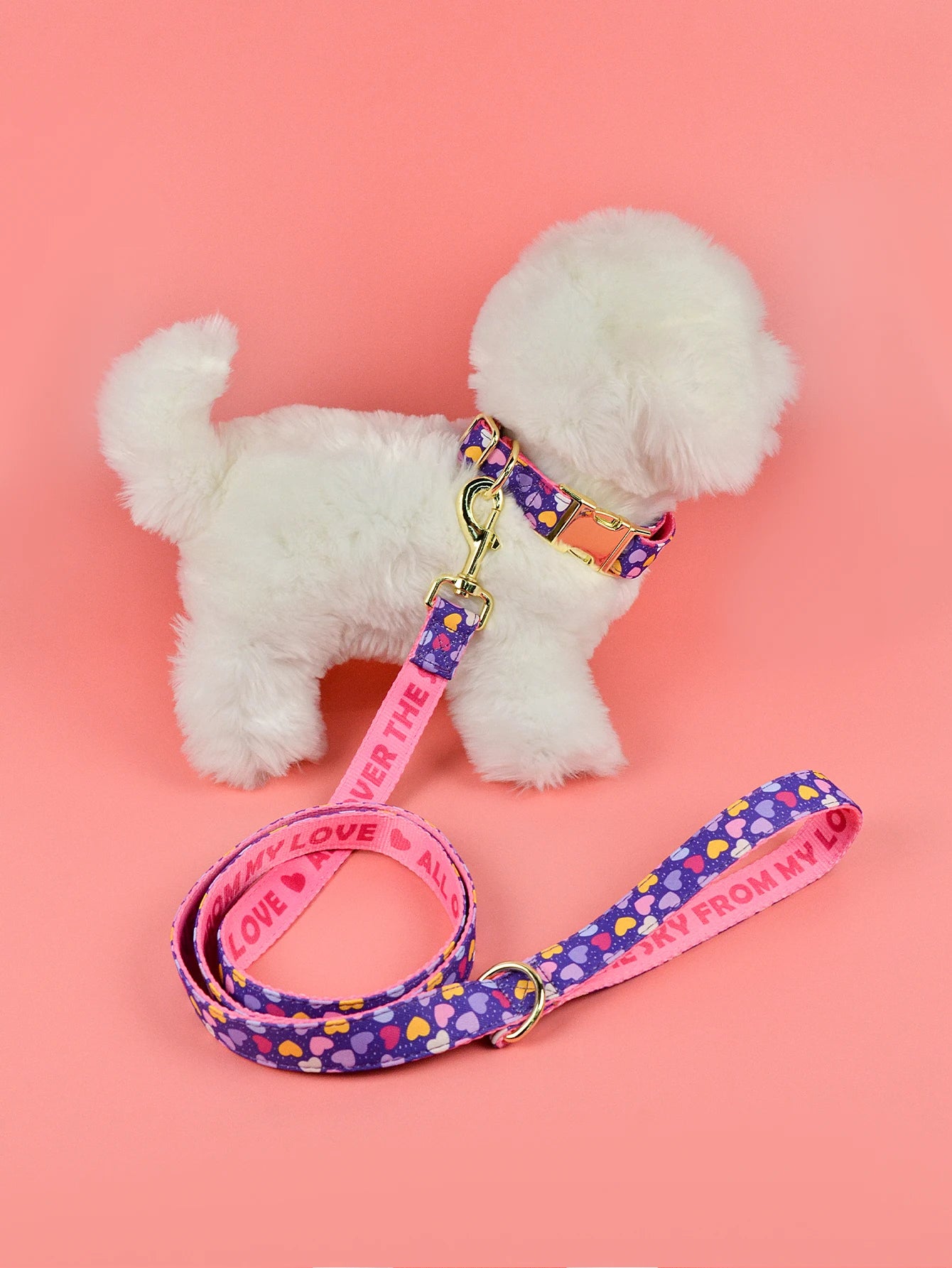 Luxury Fashion Leash & Collar (available in 6 variants)