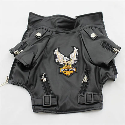 Glorious Eagle Jacket