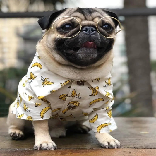 Summer Hawaiian Shirt (banana pattern)