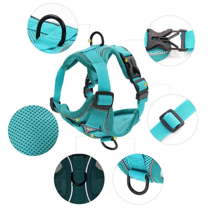 Adjustable Harness + Leash Set (available in 6 colours)