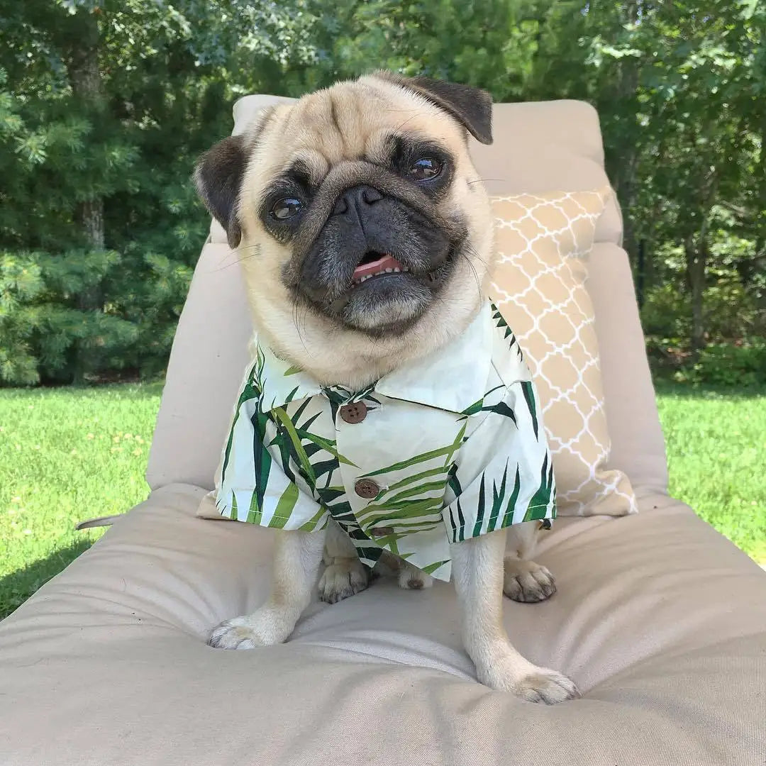 Summer Hawaiian Shirt (palm leaf pattern)