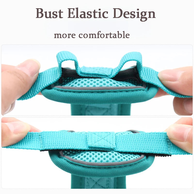 Adjustable Harness + Leash Set (available in 6 colours)