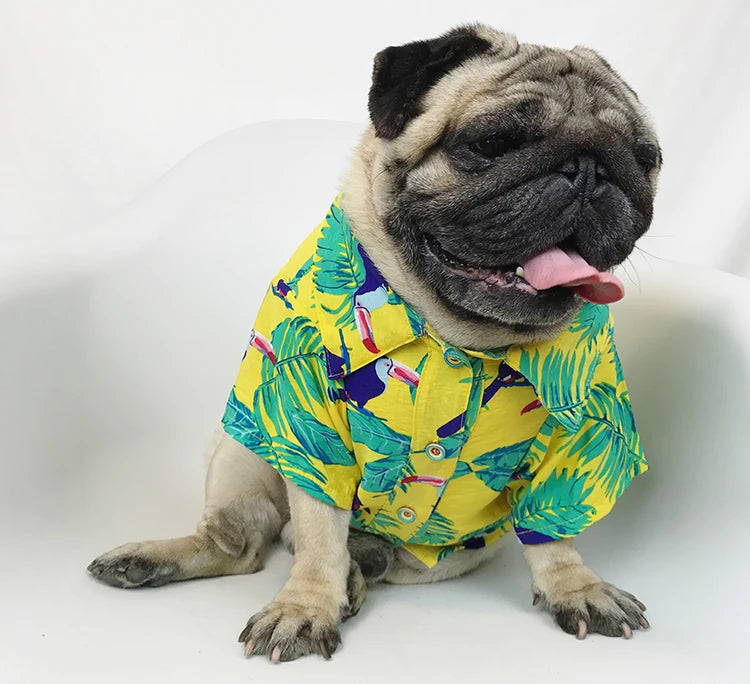 Hawaiian Shirt