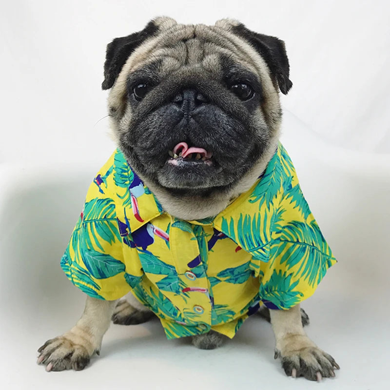 Hawaiian Shirt