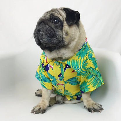 Hawaiian Shirt