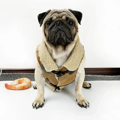 Dog Winter Coat 🐶❄️