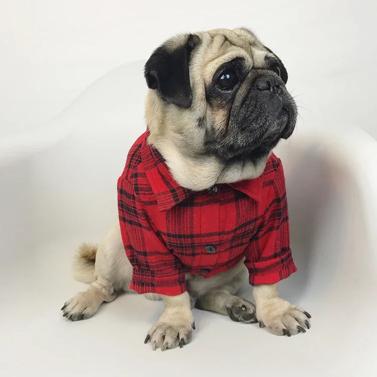 Red checkered / Lumberjack shirt