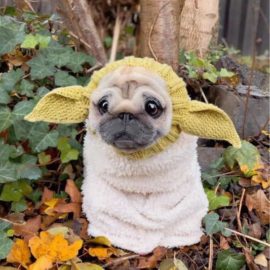 Yoda hat (only the hat it's included)