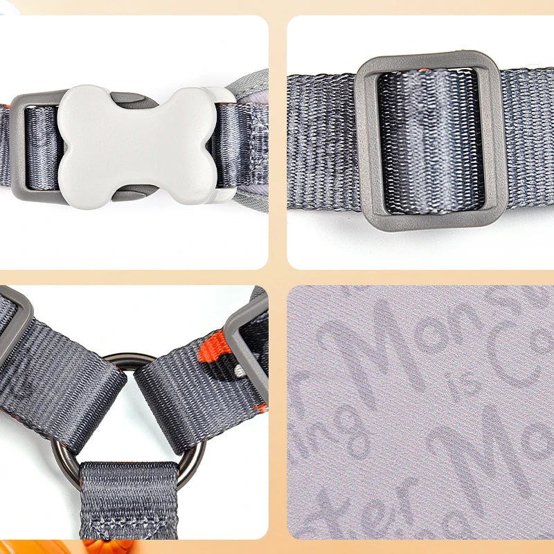 Luxury 3 Pieces Set: Monster is Coming: Luxury Fashion Harness ; Cute Leash and Poop bag (blue colour)