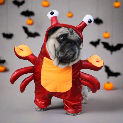 Crab Pug Halloween Costume 🦀