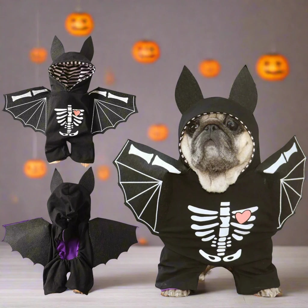 Bat Pug Halloween Costume 🦇