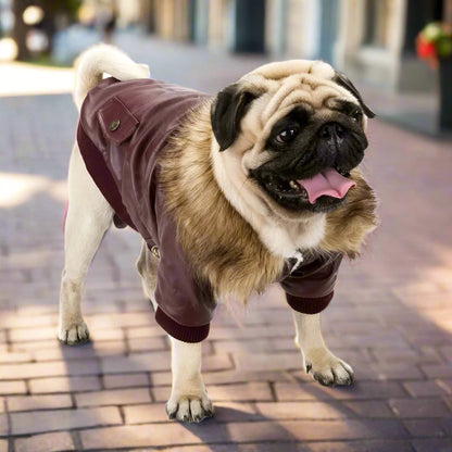Punk Style Bomber Jacket