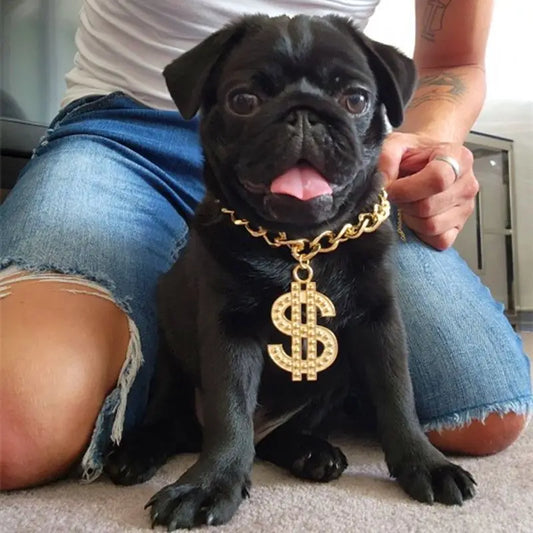 Necklace for your pug🐶