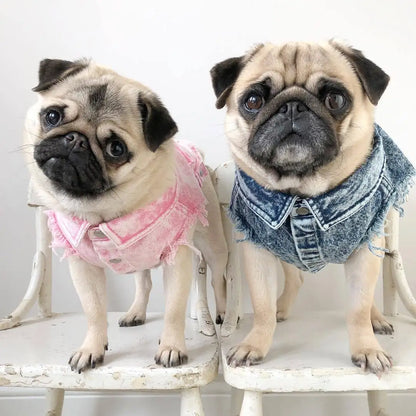 Blue Denim Coat 🐶