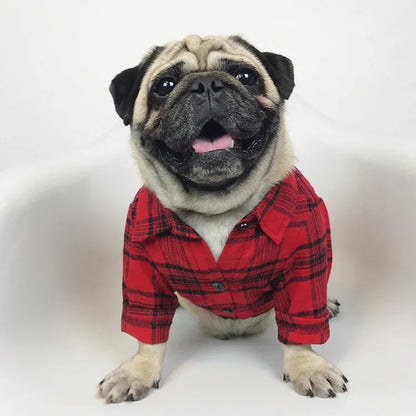 Red checkered / Lumberjack shirt