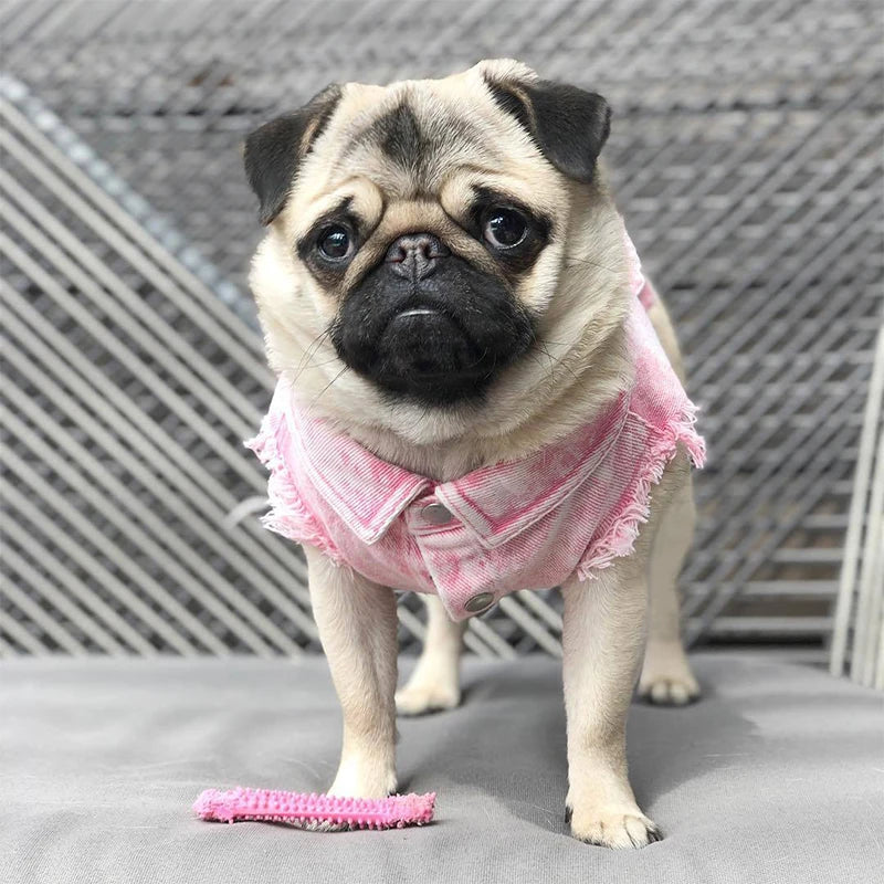 Pink Denim Coat 🐶