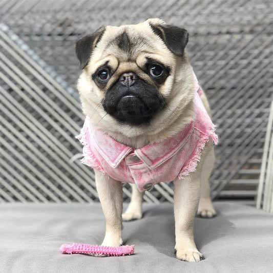 Pink Denim Coat 🐶