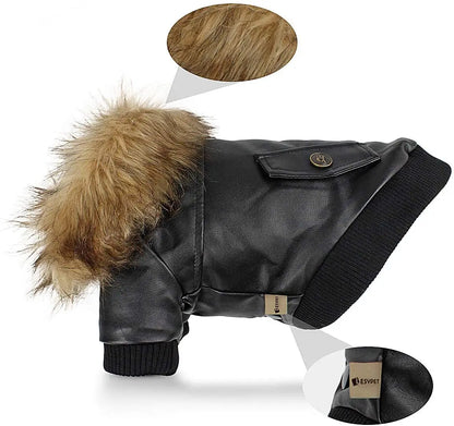 Punk Style Bomber Jacket