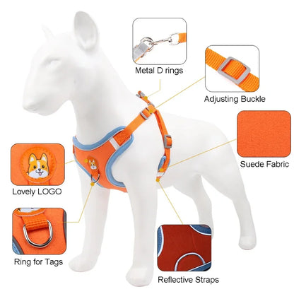 Dog Harness with Dog Logo 🐶 + Leash (available in 6 colours)