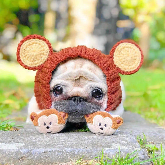 Brown bear hat 🐻 🎩