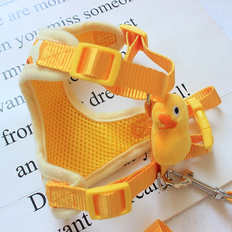 Cute Yellow Harness 🦆 + Leash