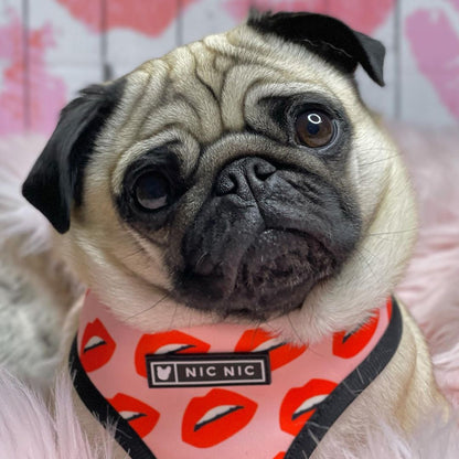 Dog harness (lips pattern)