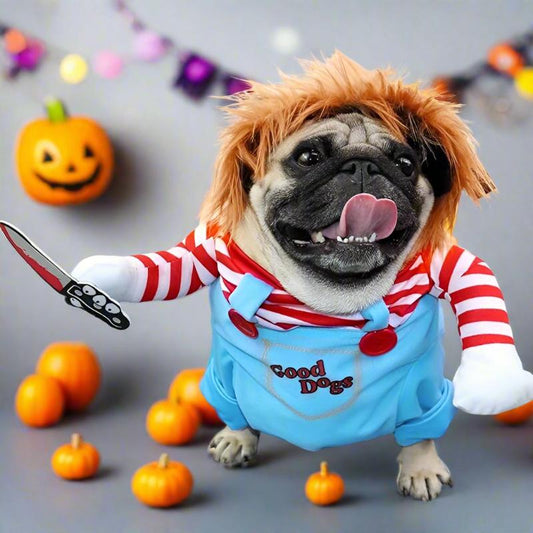 Scary Pug Halloween Costume 🦇 🎃