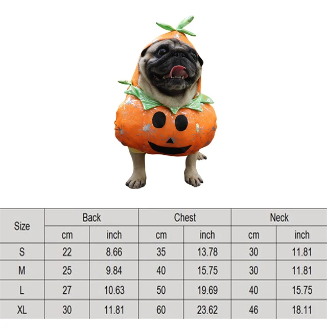 Pumpkin Pug Halloween Costume 🦇 🎃