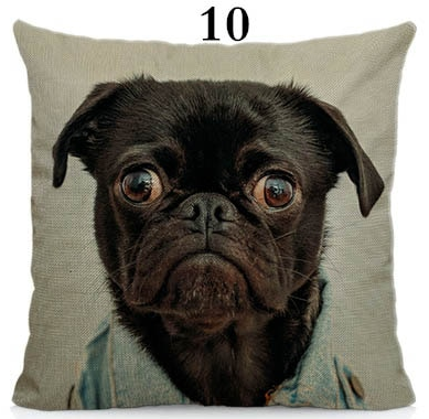 We R cool pugs cushion cover