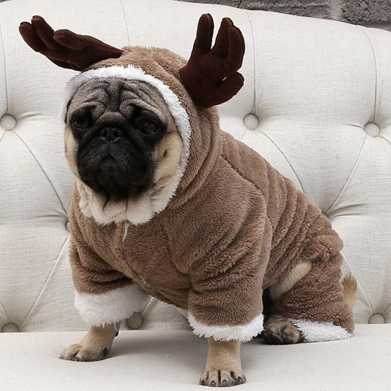 Pug the elk