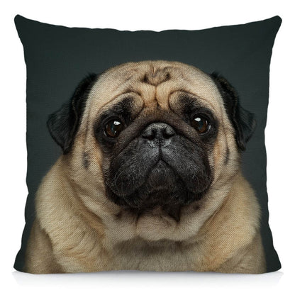 Happy pugs cushion cover