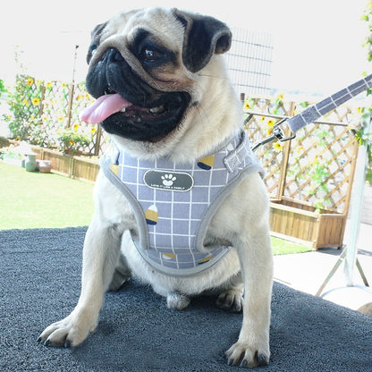 Reflective dog harness (grey)