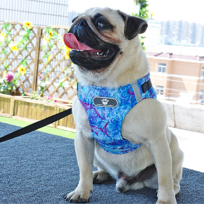 Dog harness (marine pattern)