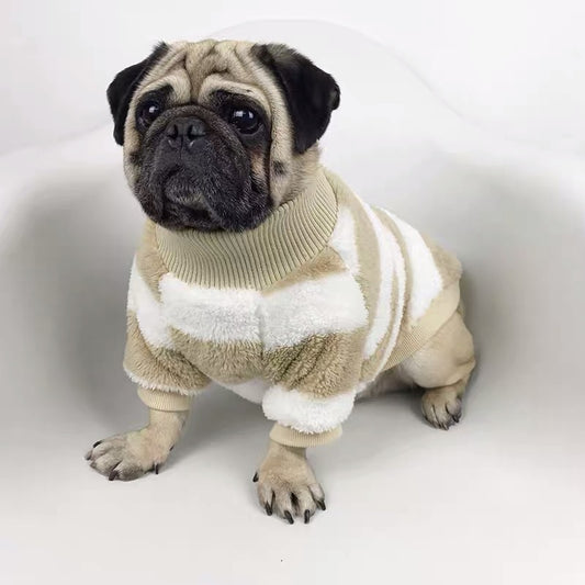 Fashion coat for small / medium dogs (pug, corgi, french bulldog, chihuahua)